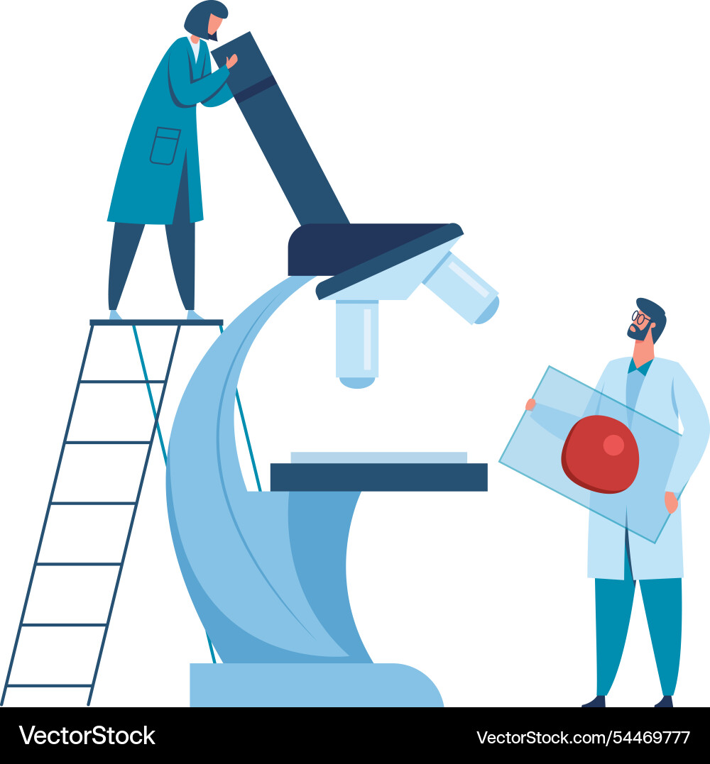 Zwei Wissenschaftler forschen mit einem Zwei Wissenschaftler forschen mit einem vektorbild