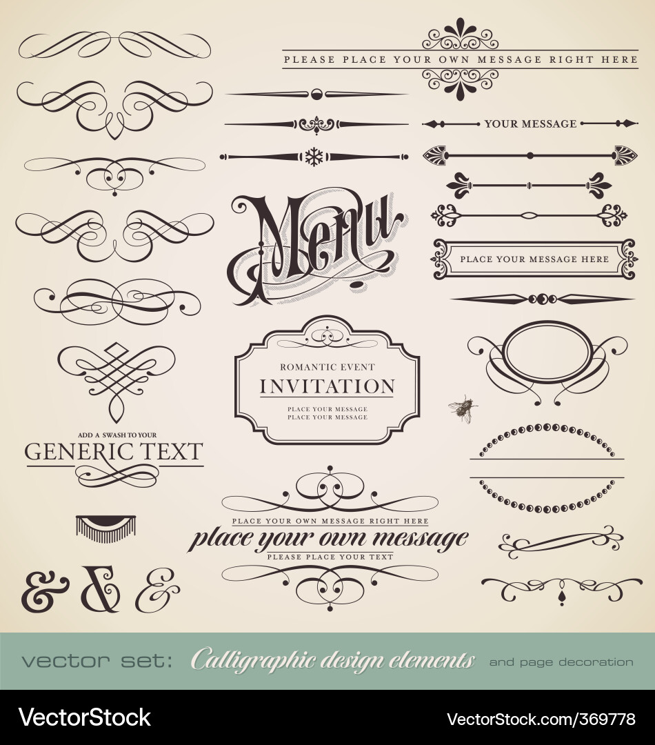 Calligraphic Elements & Decorations vector image