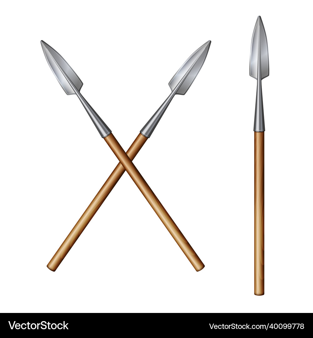 Two Crossed Spears vector image