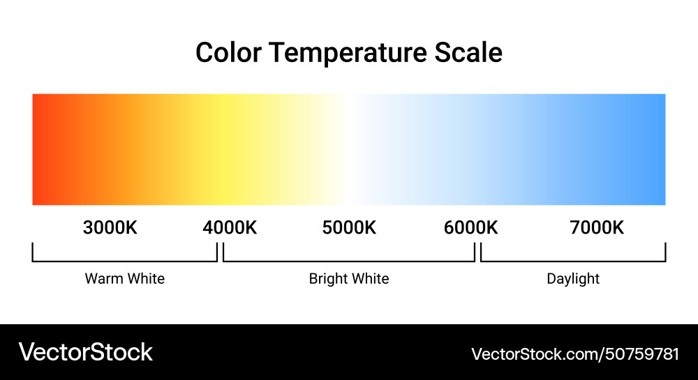 Kelvin temperature scale chart gradient Kelvin temperature scale chart gradient vector image