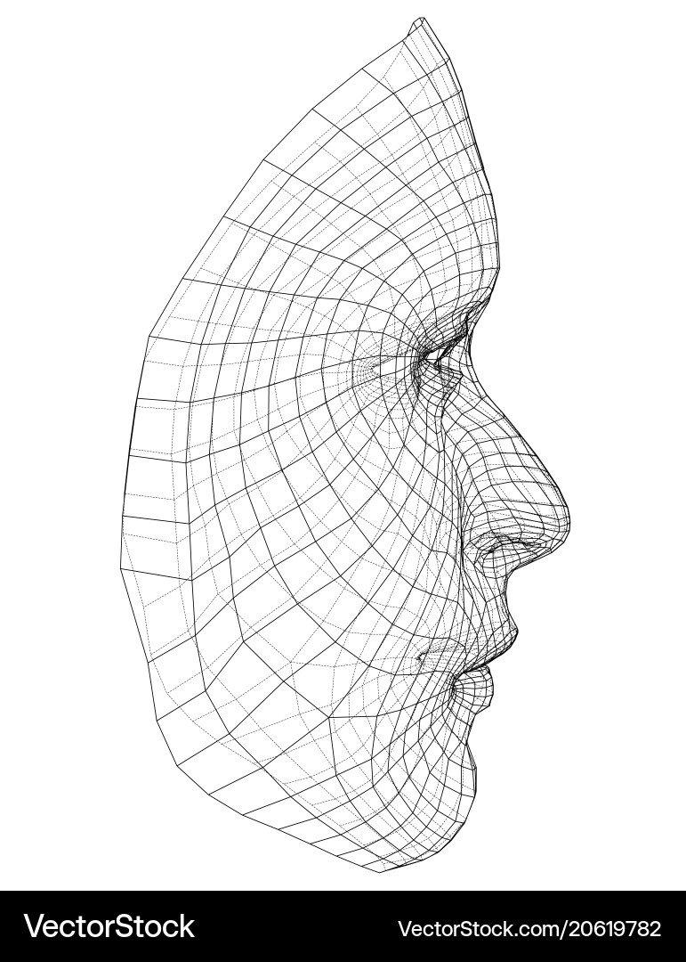 3D Wireframe Face Recognition vector image