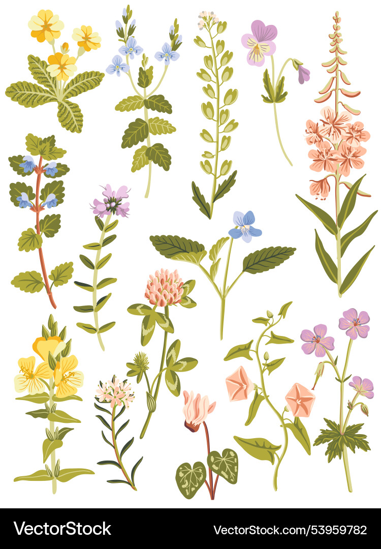 Zeichnen von wilden Blumen Zeichnen von wilden Blumen vektorbild