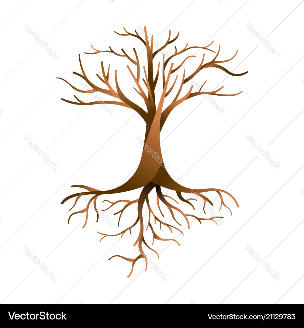 Isolated Empty Tree with Roots and Branches Vector Image