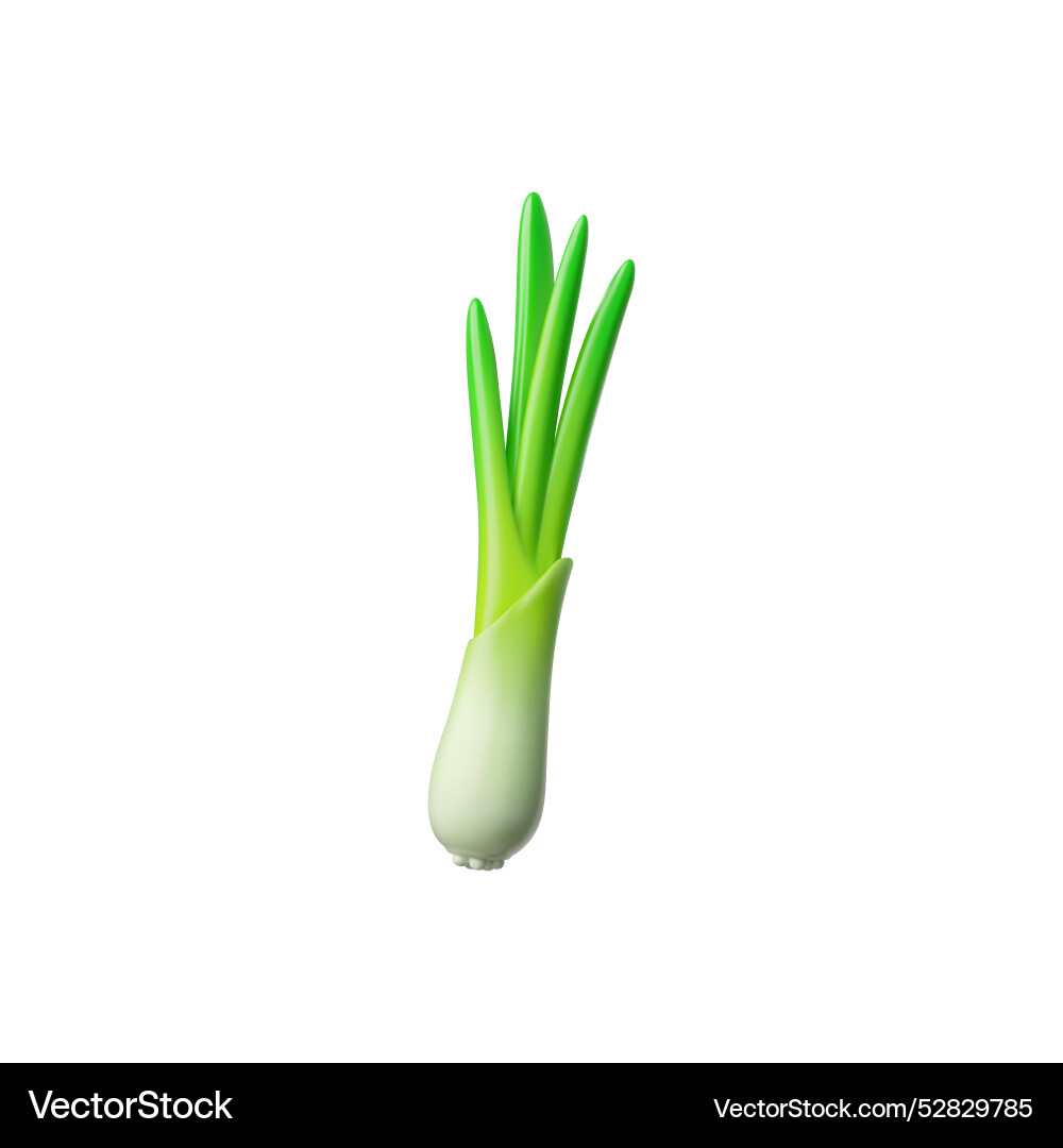 3d icon a bunch of green onions known for its Vector Image