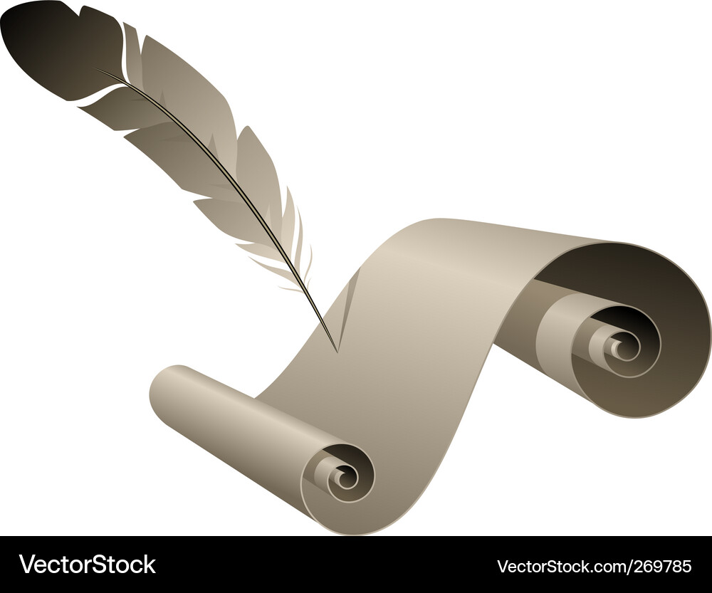 Elegant Scroll with Feather Vector Image
