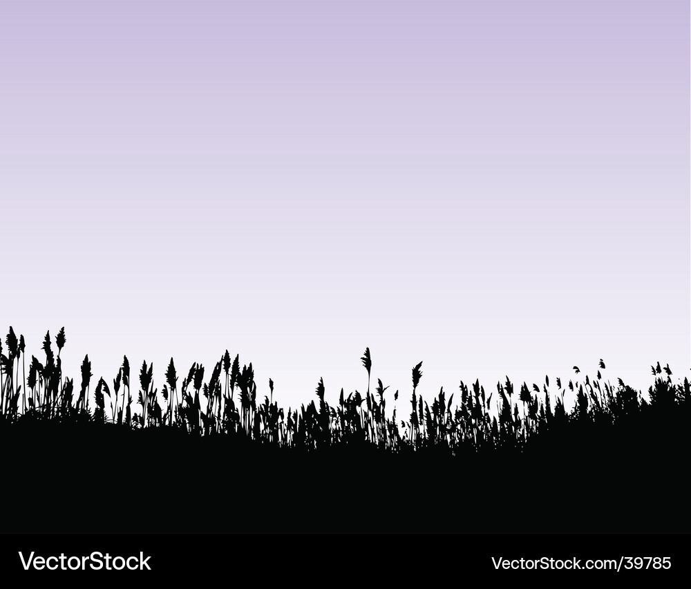 Wheat Field Vector Image