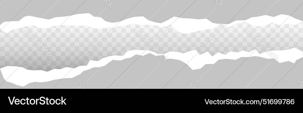 Torn sheet on transparent background gray ripped Vector Image
