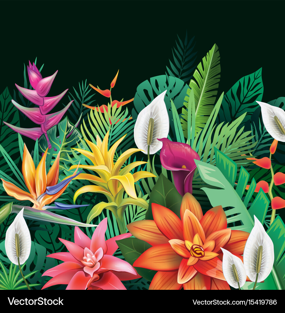 Tropical Flowers Background Vector Image