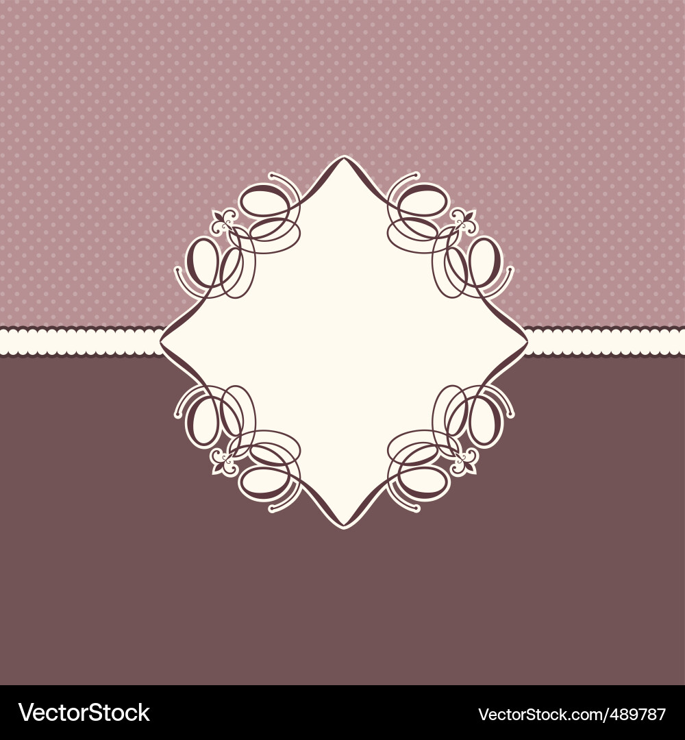 Elegant Patterned Background vector image