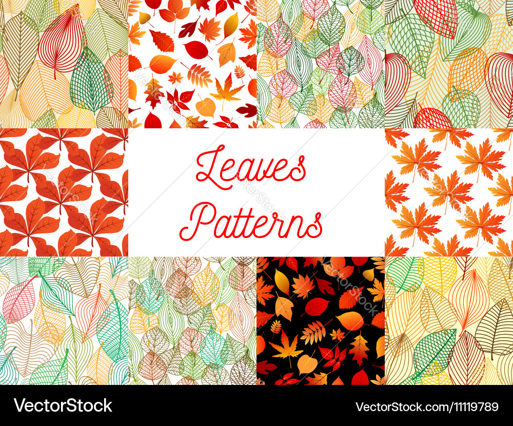 Autumn Leaf Seamless Patterns - Orange & Red vector image