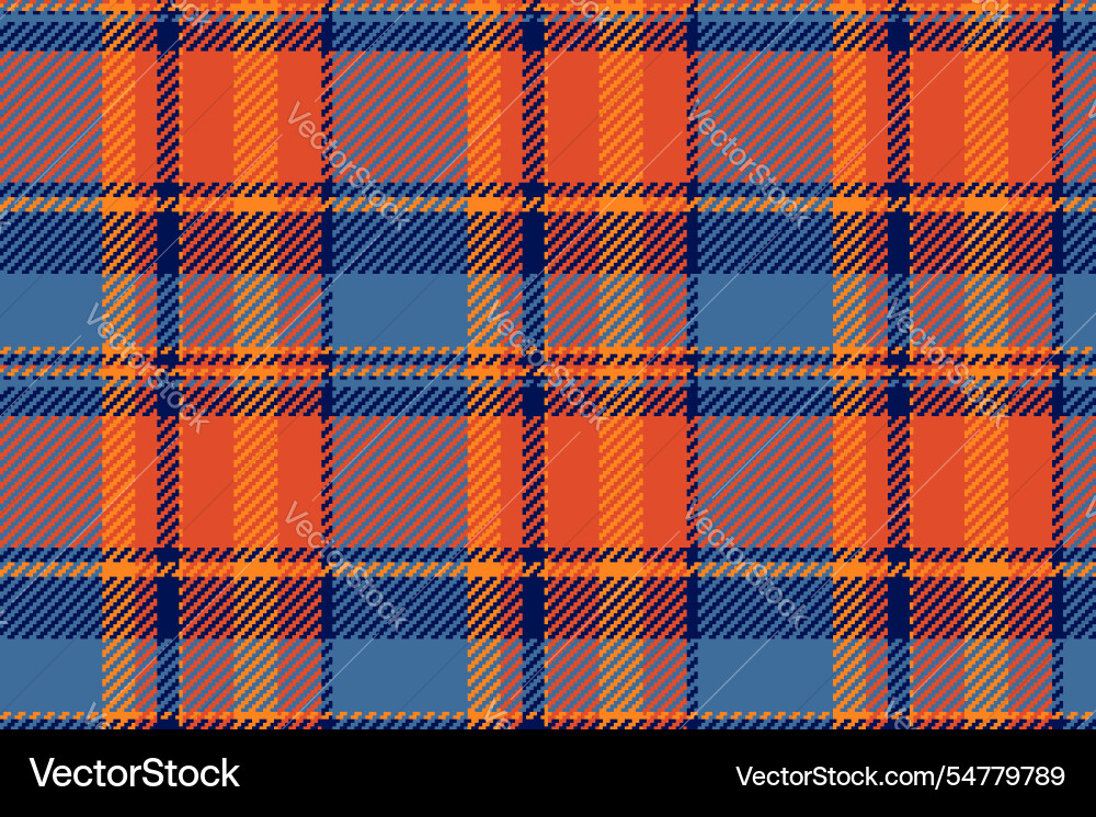 Upscale check textile pattern list tartan vector image