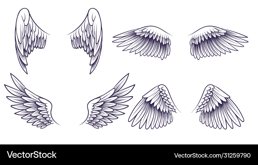 Hand-Drawn Angel Wings Sketch vector image