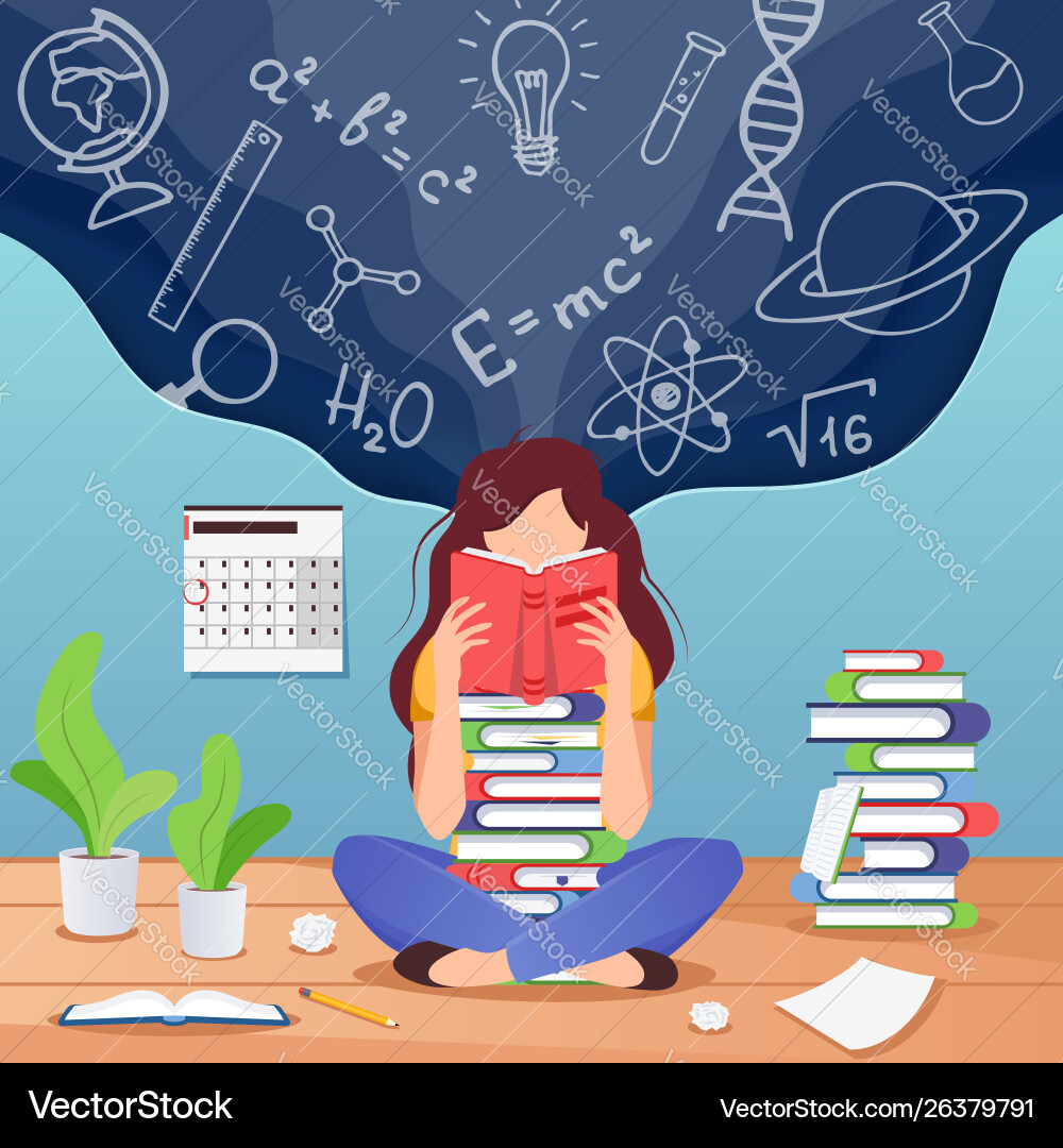 Girl prepare to exam young woman sitting read Girl prepare to exam young woman sitting read vector image