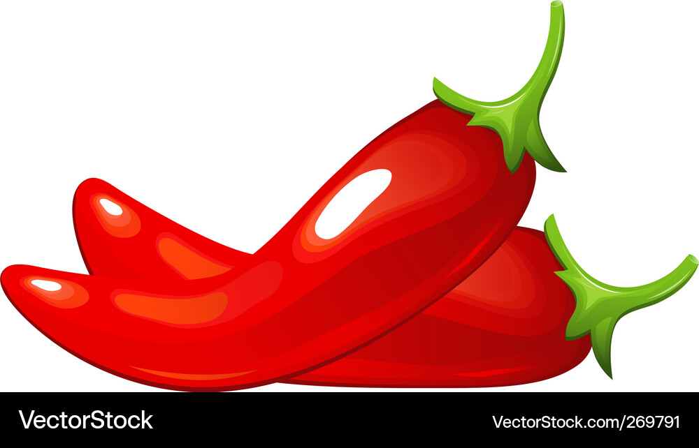Würziger Chili-Pfeffer Vektorbild