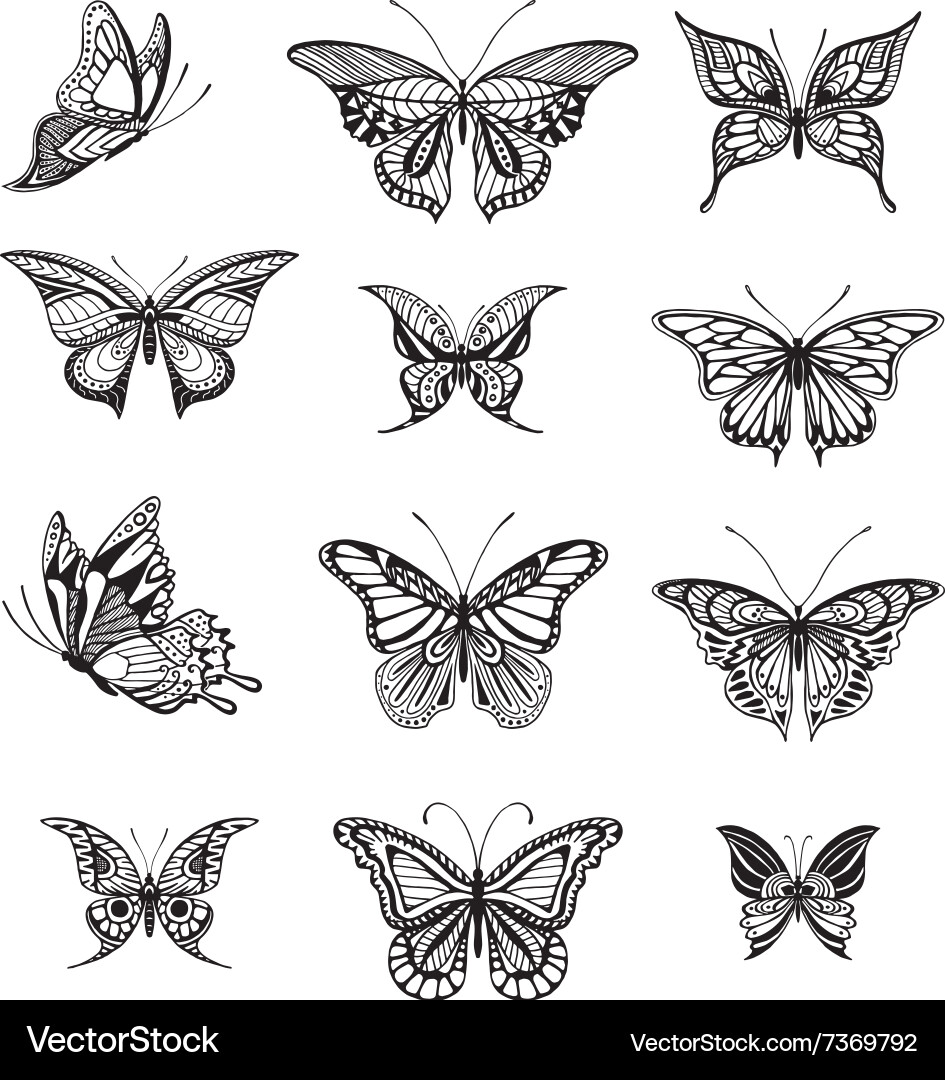 Elegant Butterfly Collection vector image