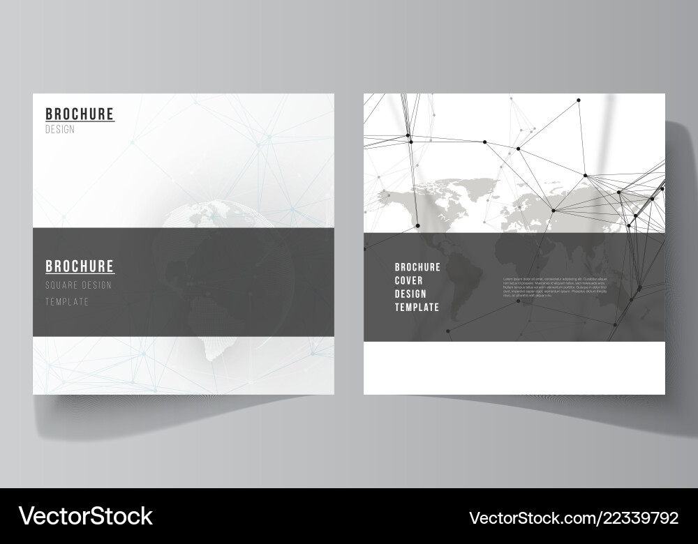 Layout of two square format covers design Layout of two square format covers design vector image