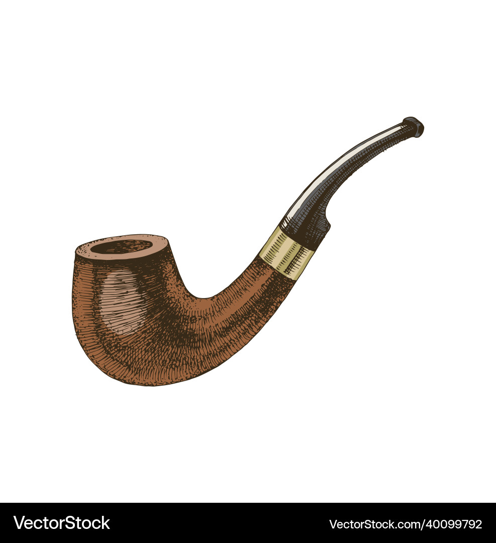 Retro Vintage Tobacco Pipe Vector Image