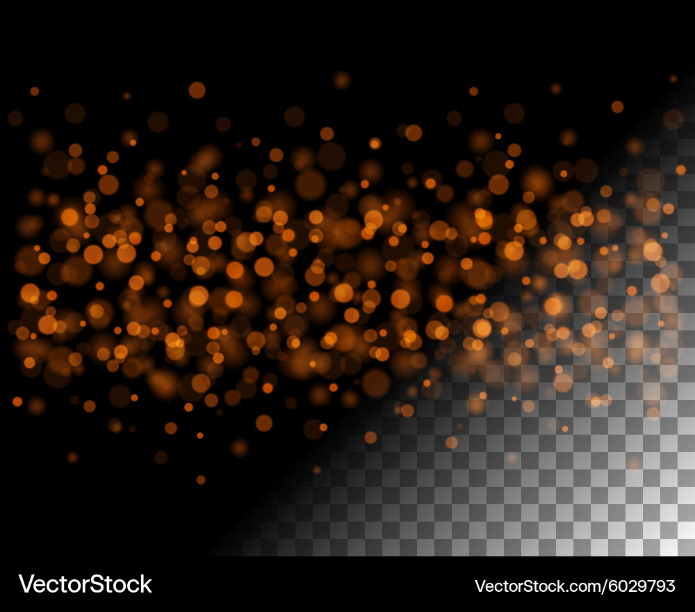 Abstract bokeh lights and sparkles on transparent vector image