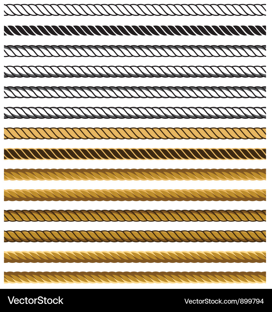 Metallic Chain and Rope Pattern Vector Image