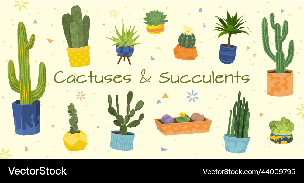 Cactuses flat composition set Vector Image