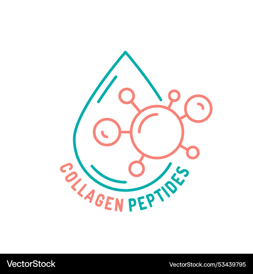 Collagen line icon connective tissue protein Collagen line icon connective tissue protein vector image