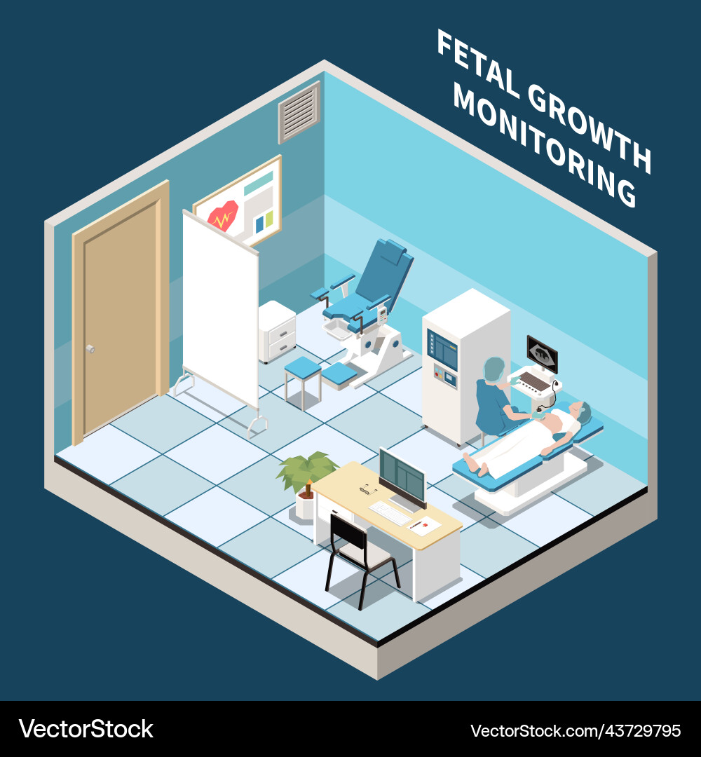 Fetal growth monitoring isometric composition Fetal growth monitoring isometric composition vector image