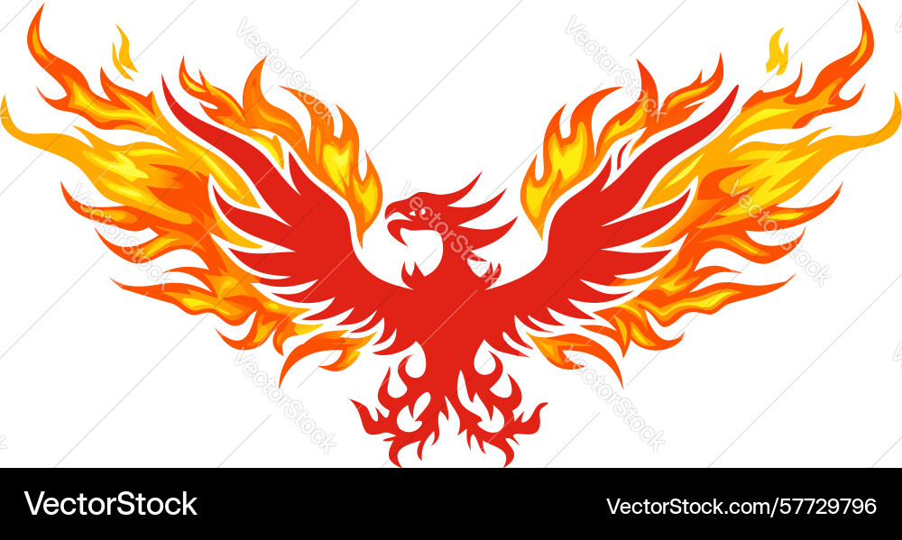 Dynamic red phoenix in flight mythical power Vector Image