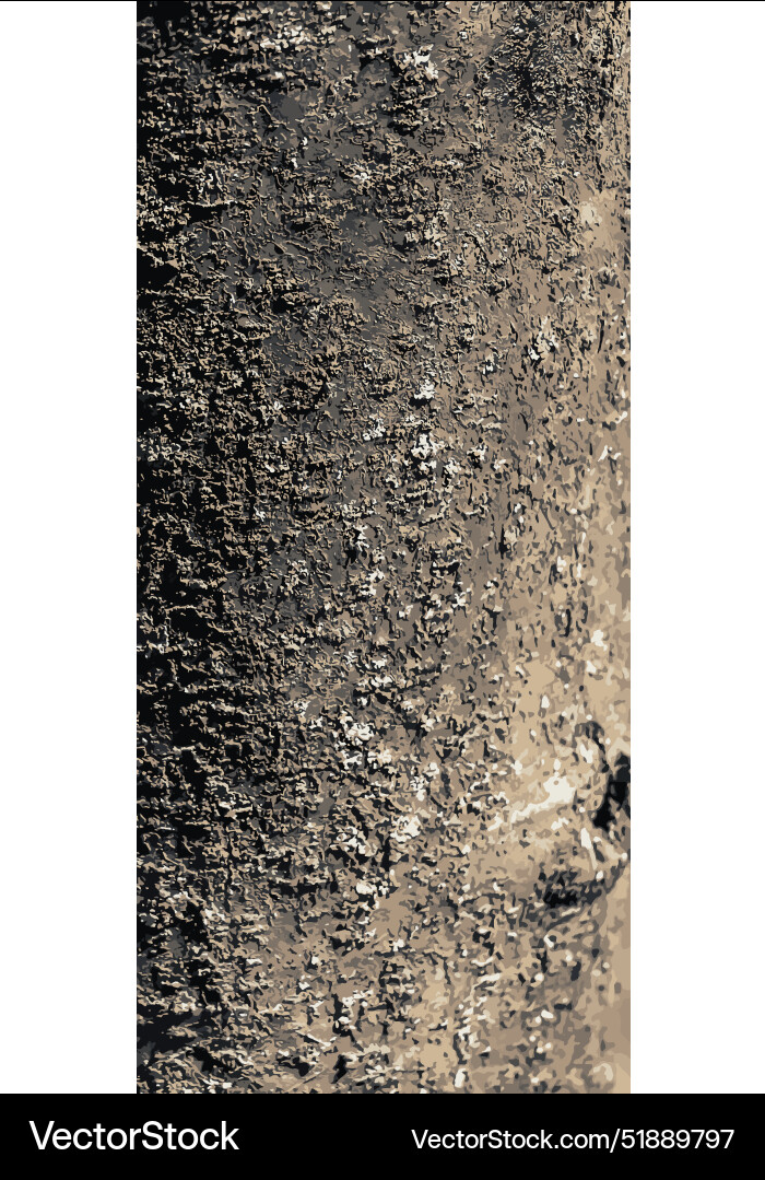 Laburnum bark hintergrund natürlich Laburnum bark hintergrund natürlich vektorbild