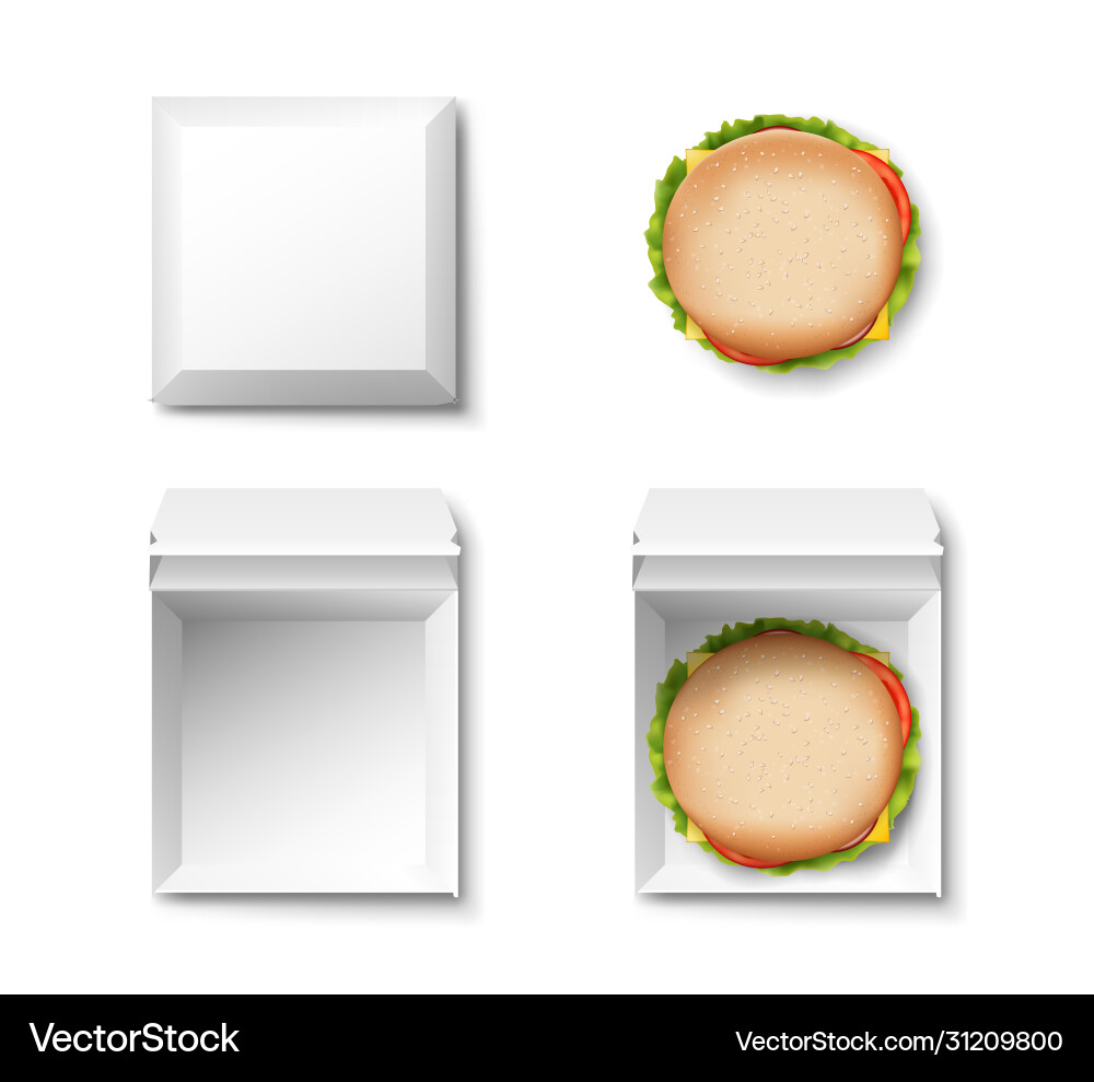 Set realistic empty package box and with burger Set realistic empty package box and with burger vector image