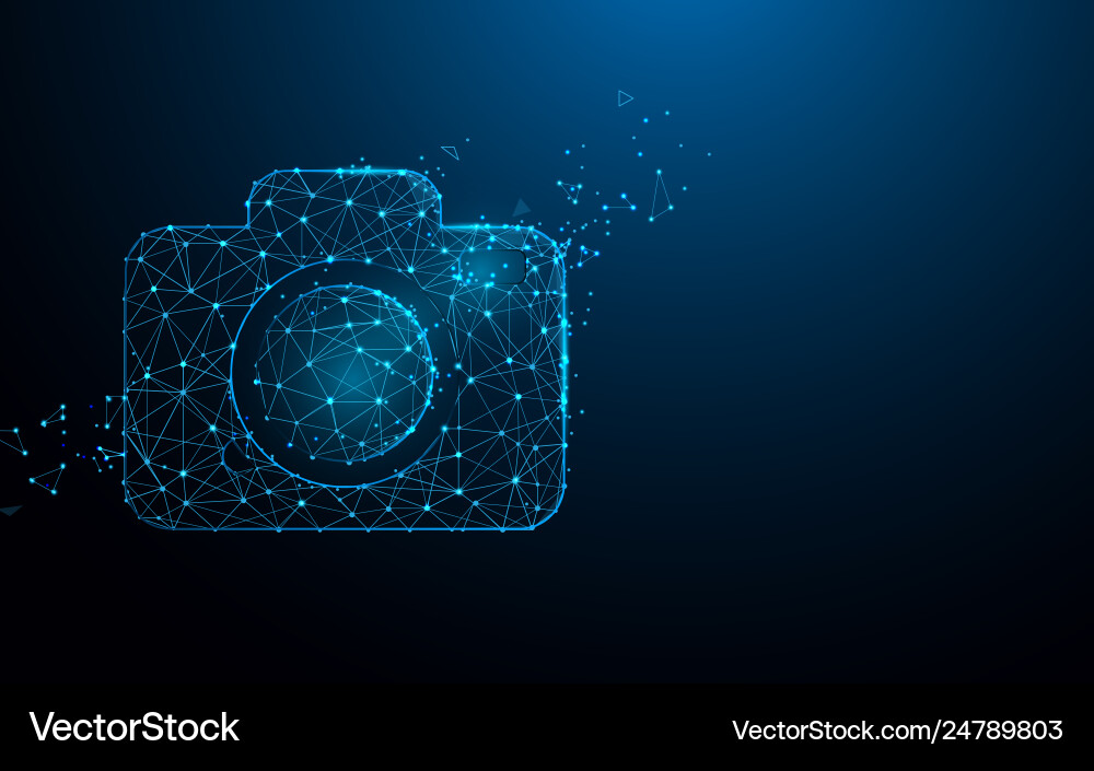 Camera icon from lines triangles and particle vector image