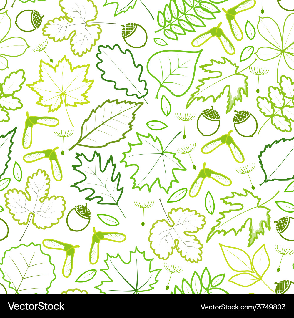 Spring Leaf Pattern vector image