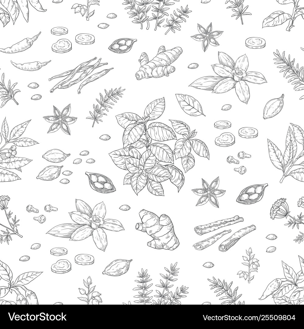 Spices & Herbs Pattern - Rustic Style vector image