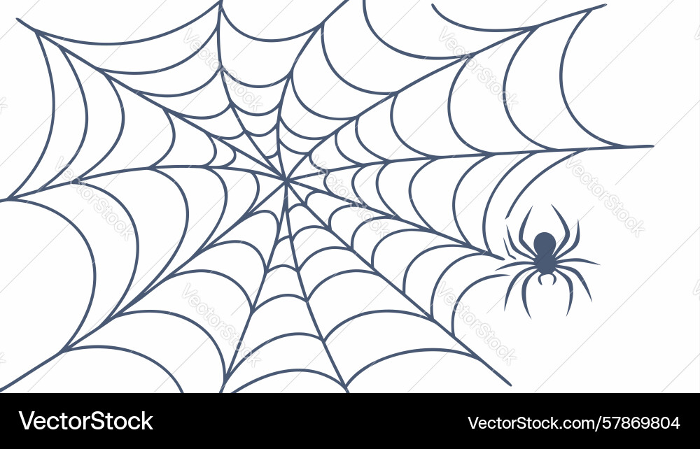 Stylized spiderweb with spider design generative Vector Image