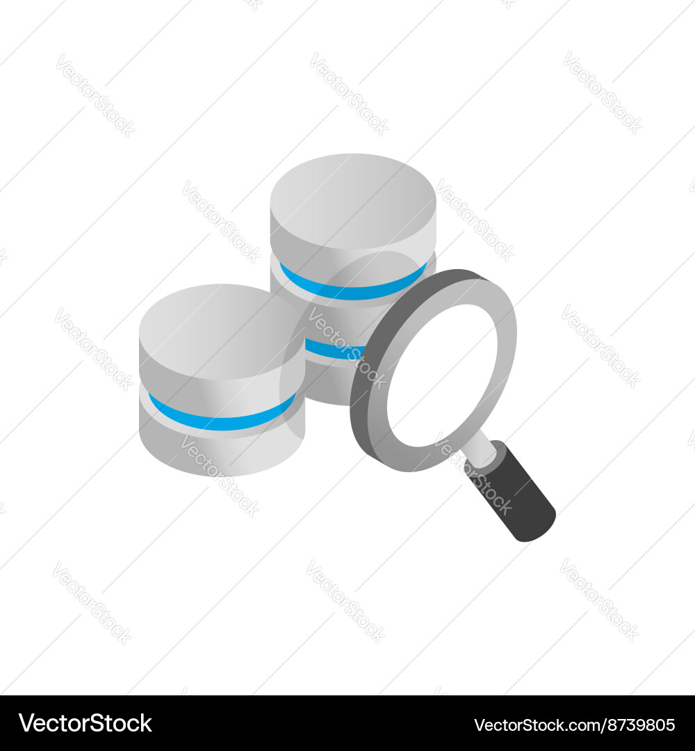 Database Icon with Magnifying Glass vector image