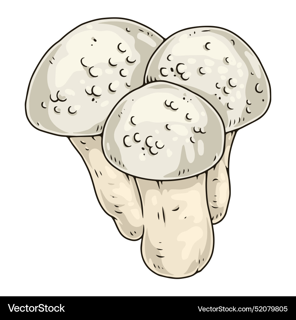 Mushrooms puffball colorful detailed element Vector Image