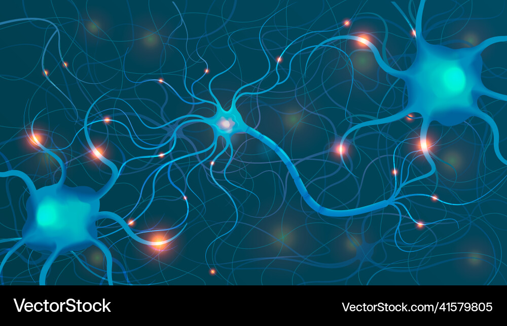 Neural Synapse Network Visualization Vector Image