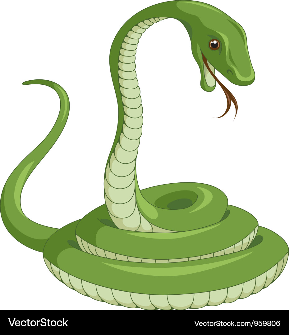 Snake Royalty Free Vector Image - VectorStock