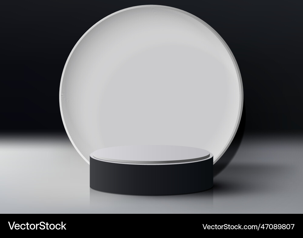 3d realistic empty black and white podium 3d realistic empty black and white podium Vector Image