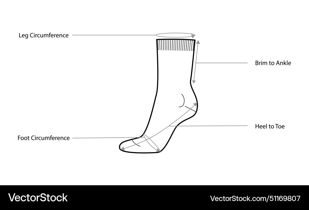 Diagrams of sock measurements with text names Diagrams of sock measurements with text names vector image