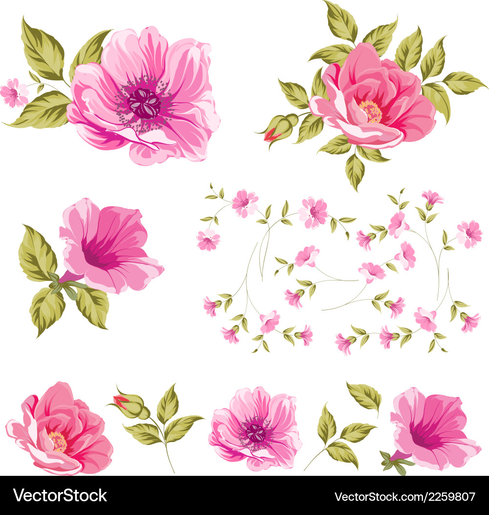Floral Head Collection vector image