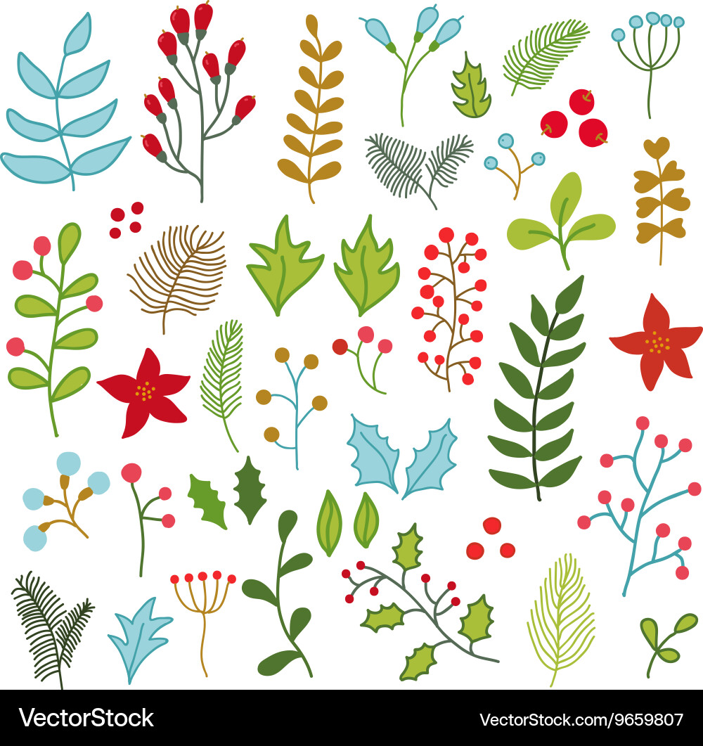 Winter Holiday Floral Collection Vector Image