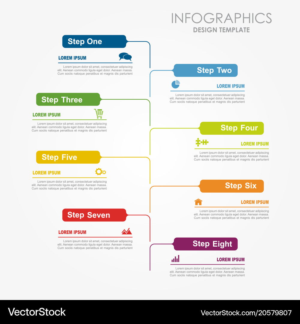 Workflow & Step Infographic Template vector image