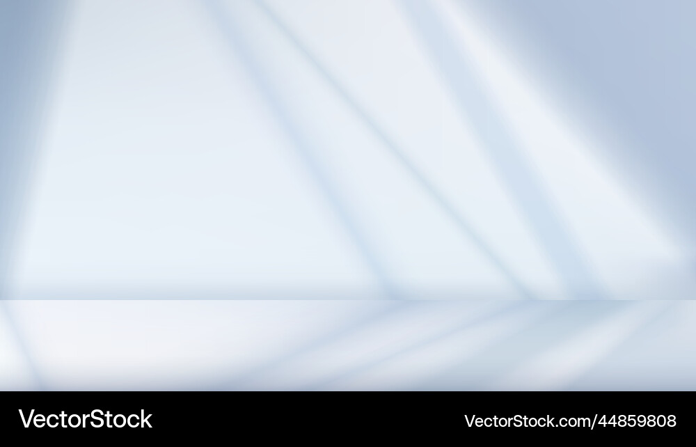 Abstract white empty studio room background Vector Image