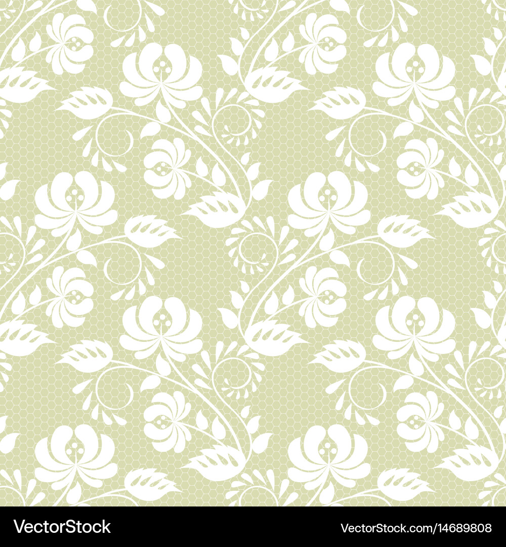 Elegant White Lace Background Vector Image