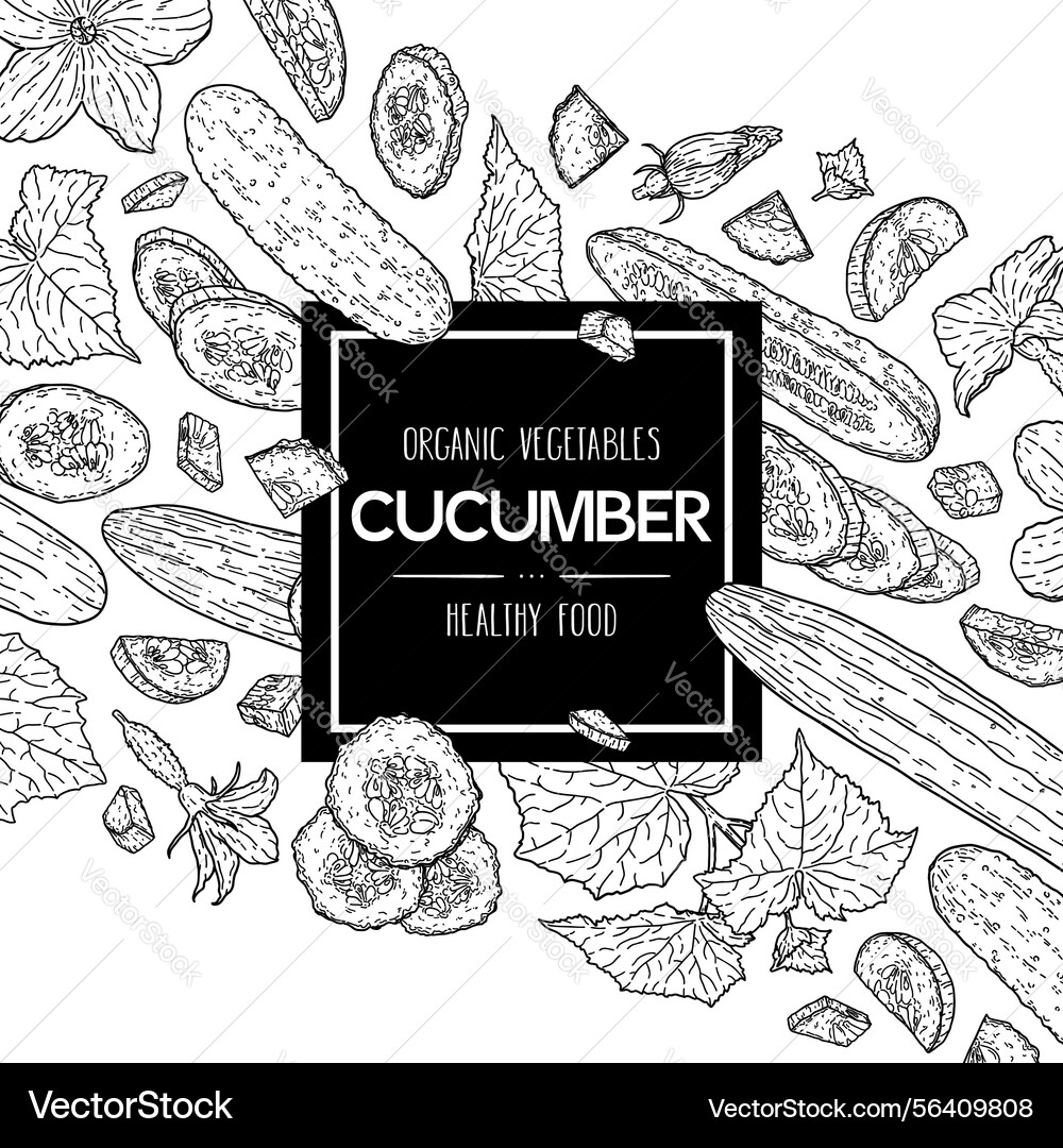 Hand drawn linear background with cucumbers Hand drawn linear background with cucumbers vector image