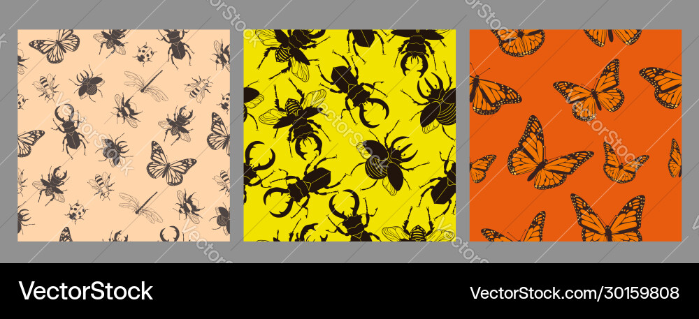 Set seamless patterns with insects graphics Set seamless patterns with insects graphics vector image
