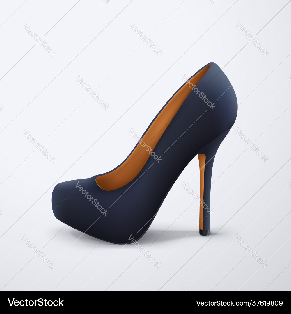 Black color womans stylish shoe side view vector image