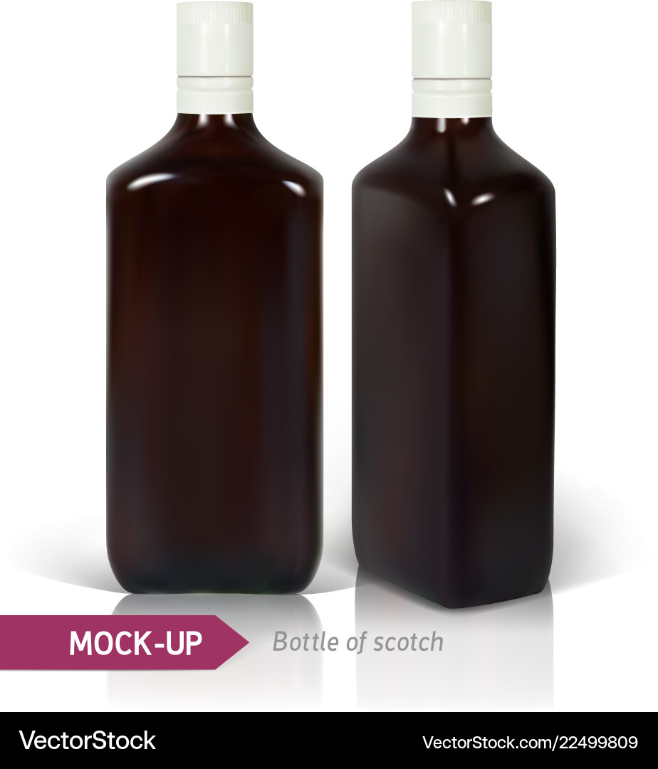 Dark realistic square scotch bottles Dark realistic square scotch bottles vector image
