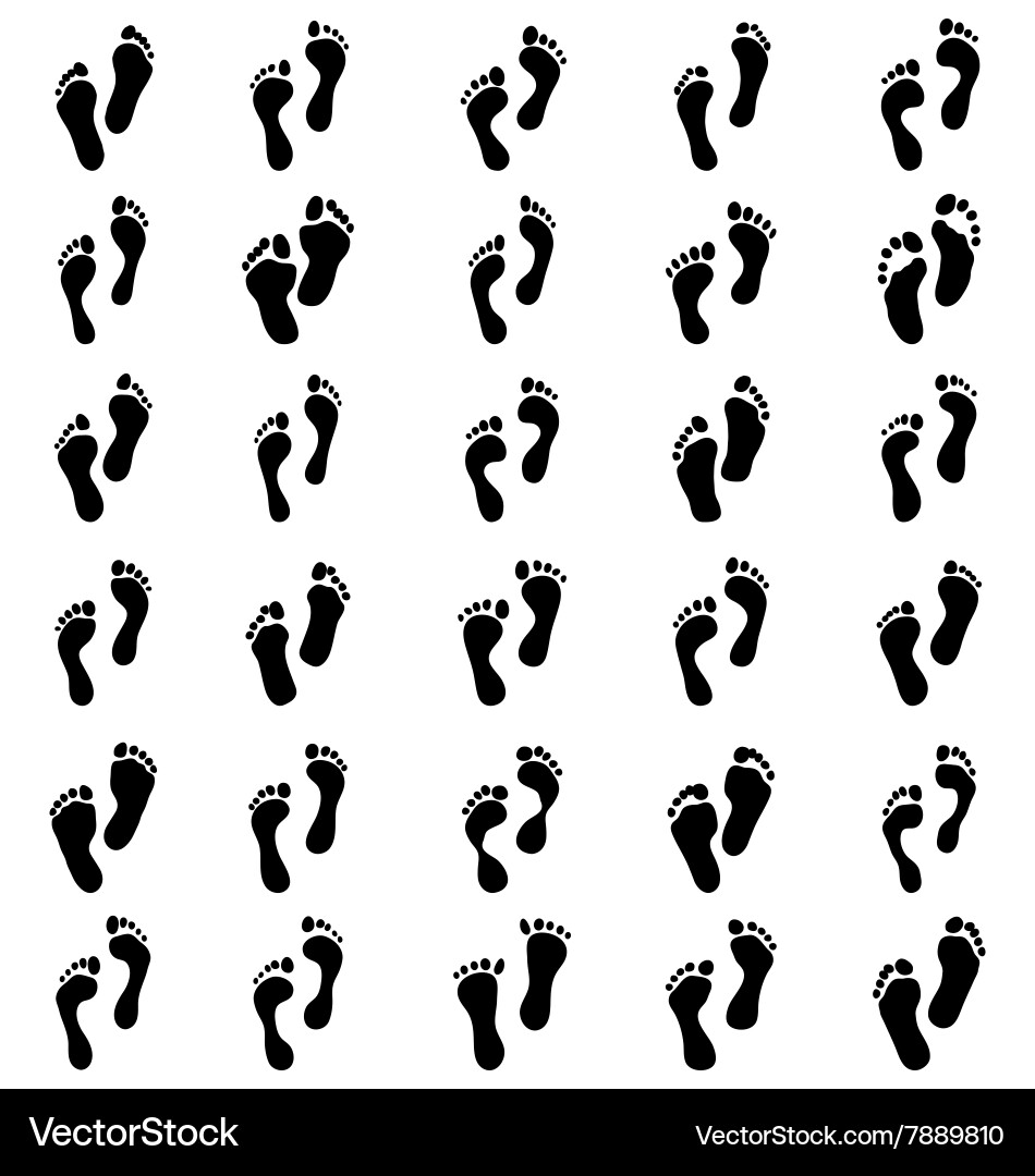 Footprints on White Background vector image