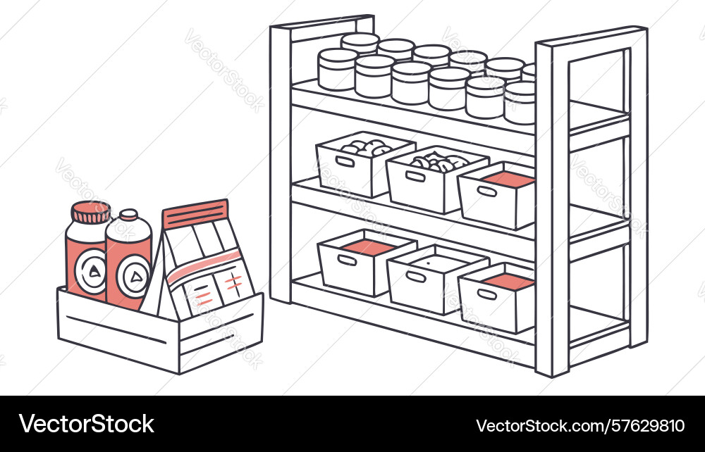 Organized shelf with storage items design Vector Image